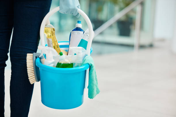 Professional Cleaning