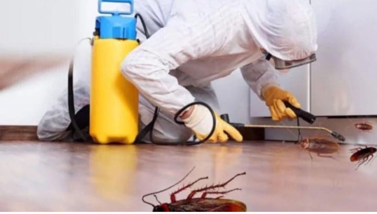 Fumigation services in Nairobi - certified pest control