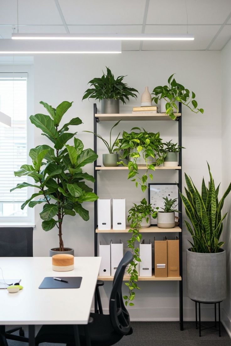 Office plant care