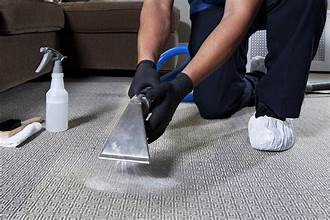 Specialized Cleaning