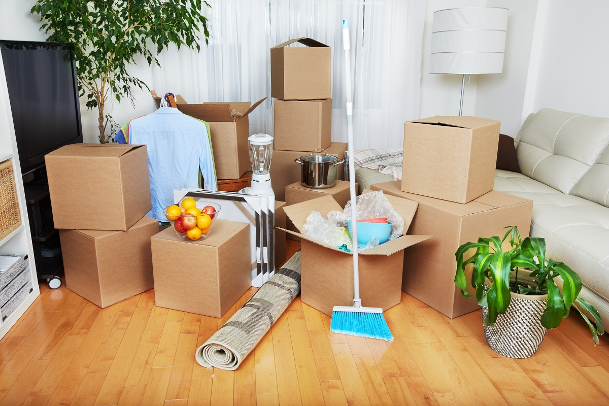 Move Cleaning Services